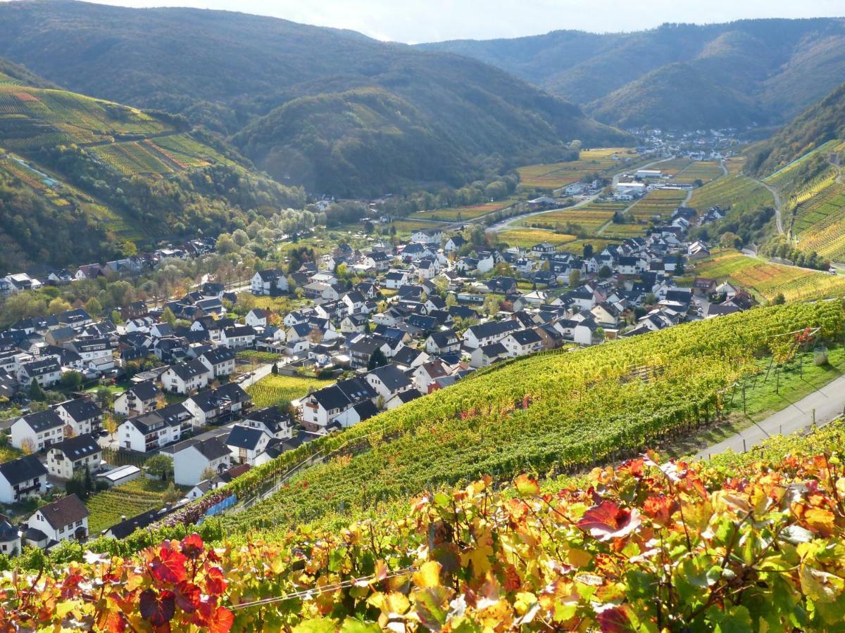 Ferienhaus Schlupfwinkel Bad Neuenahr-Ahrweiler Dış mekan fotoğraf